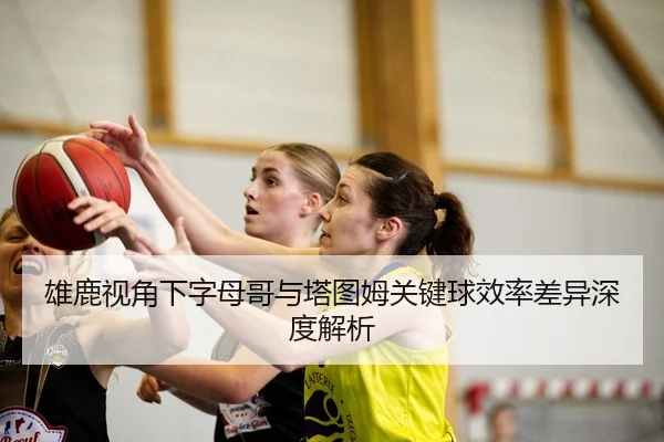 雄鹿视角下字母哥与塔图姆关键球效率差异深度解析