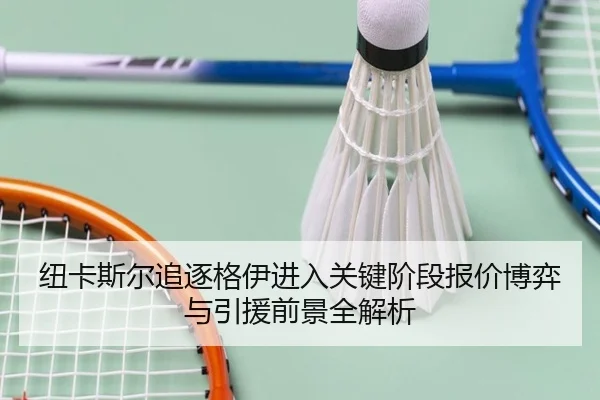 纽卡斯尔追逐格伊进入关键阶段报价博弈与引援前景全解析
